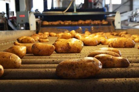 image-179707-paragwgi_patatas.jpg